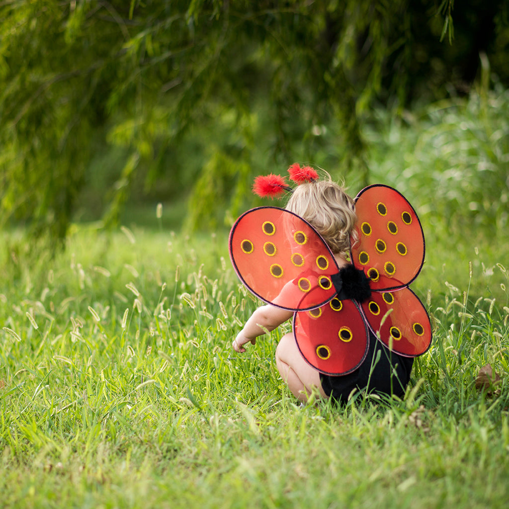 Great Pretenders Verkleedkledij Lieveheersbeestje hoofdband met vleugels - Vanaf  3 jaar - Rood