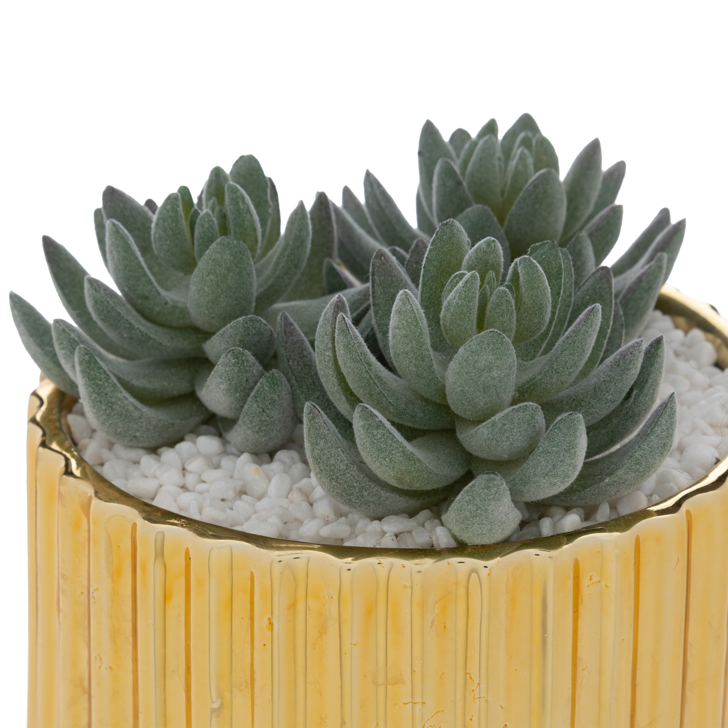 Atmosphera Louis Artificial Plant - Gold - H12 cm - Dia 13.5 cm - Succulent plant 