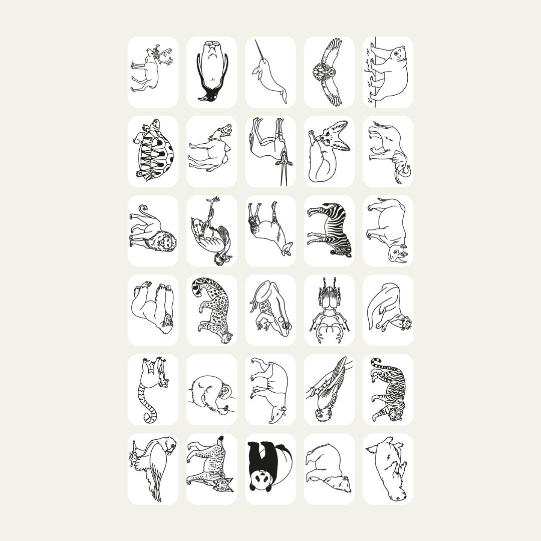 BEAU by Bo Kidywolf Kidydraw Mini Tekenboek met LCD-scherm Galaxy + Refill Once upon a time & Animals
