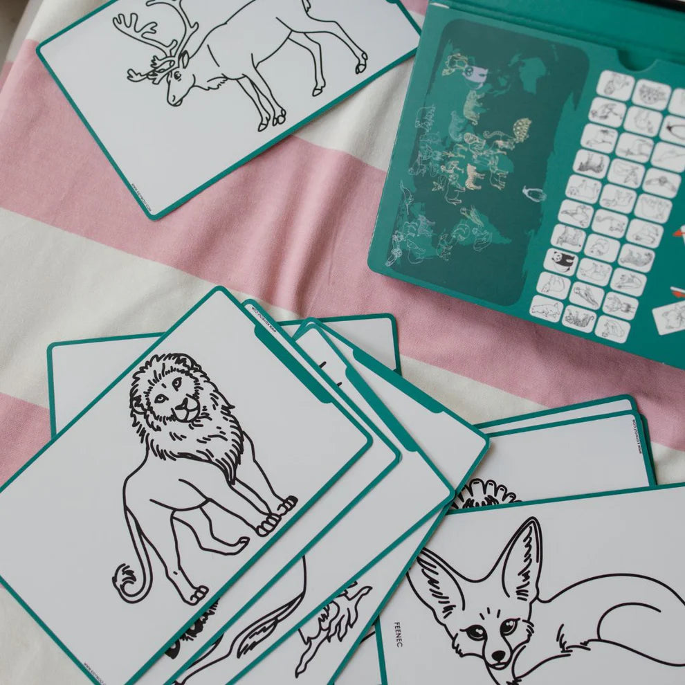 Kidywolf Kidydraw Mini Tekenboek met LCD-scherm - Dieren over de hele wereld - Donkergroen