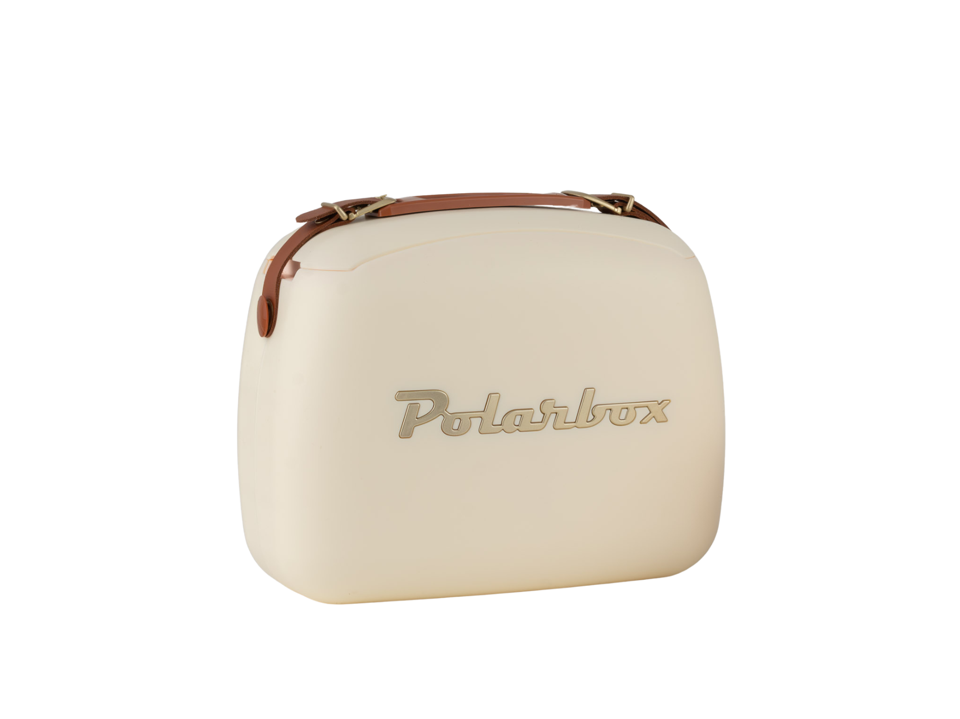 Polarbox Cool Boîte avec bandoulière 20L - 46x32x30cm - Vert pastel
