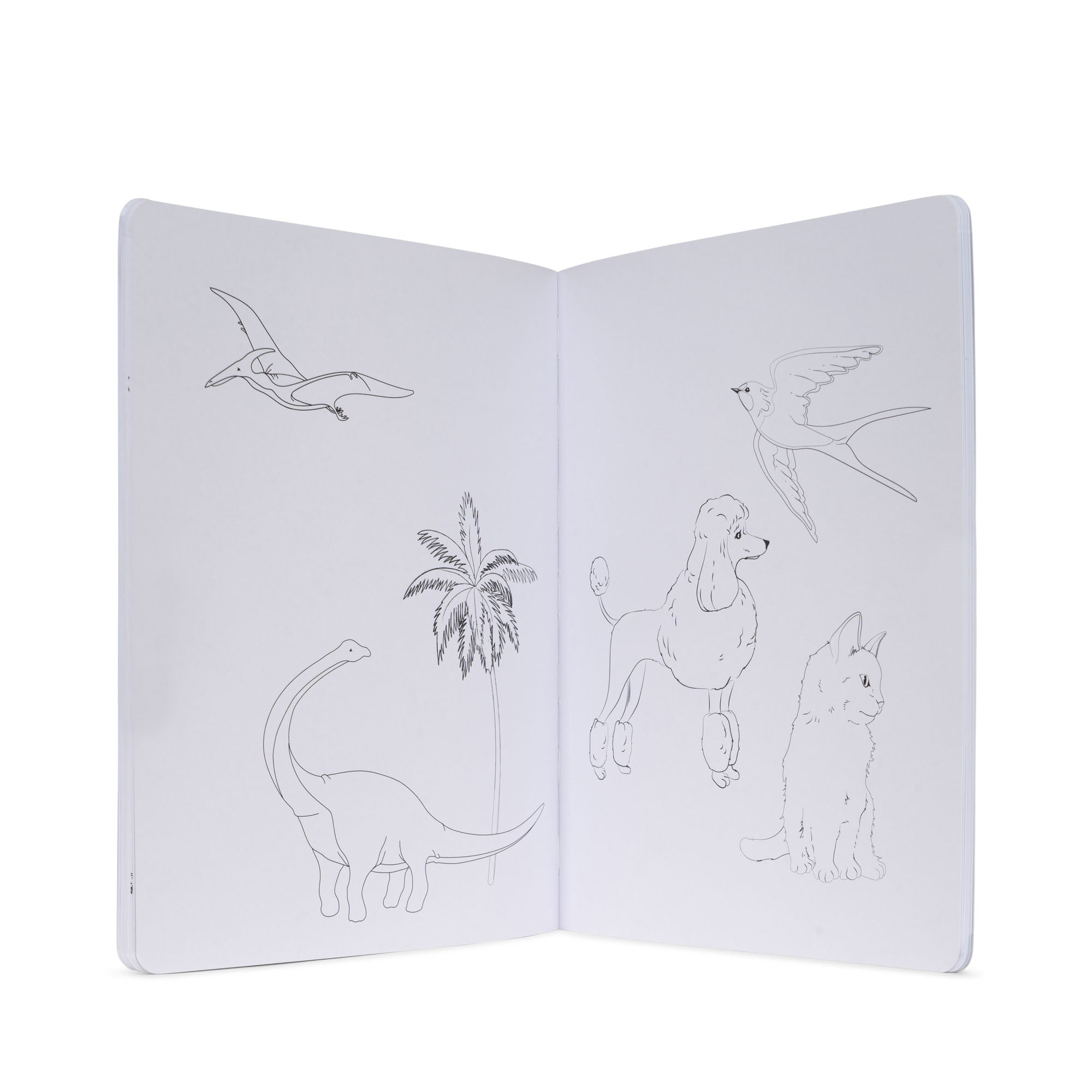 Konges Sløjd Mijn kleurboek 24 pagina's - +3 jaar