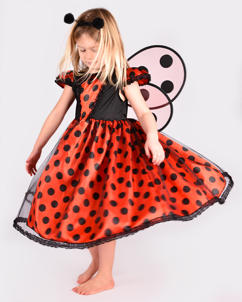 Den Goda Fen Verkleedkledij Lieveheersbeestje - Jurk, vleugels en hoofdband - 98-104cm - 2-4 jaar - Rood/Zwart