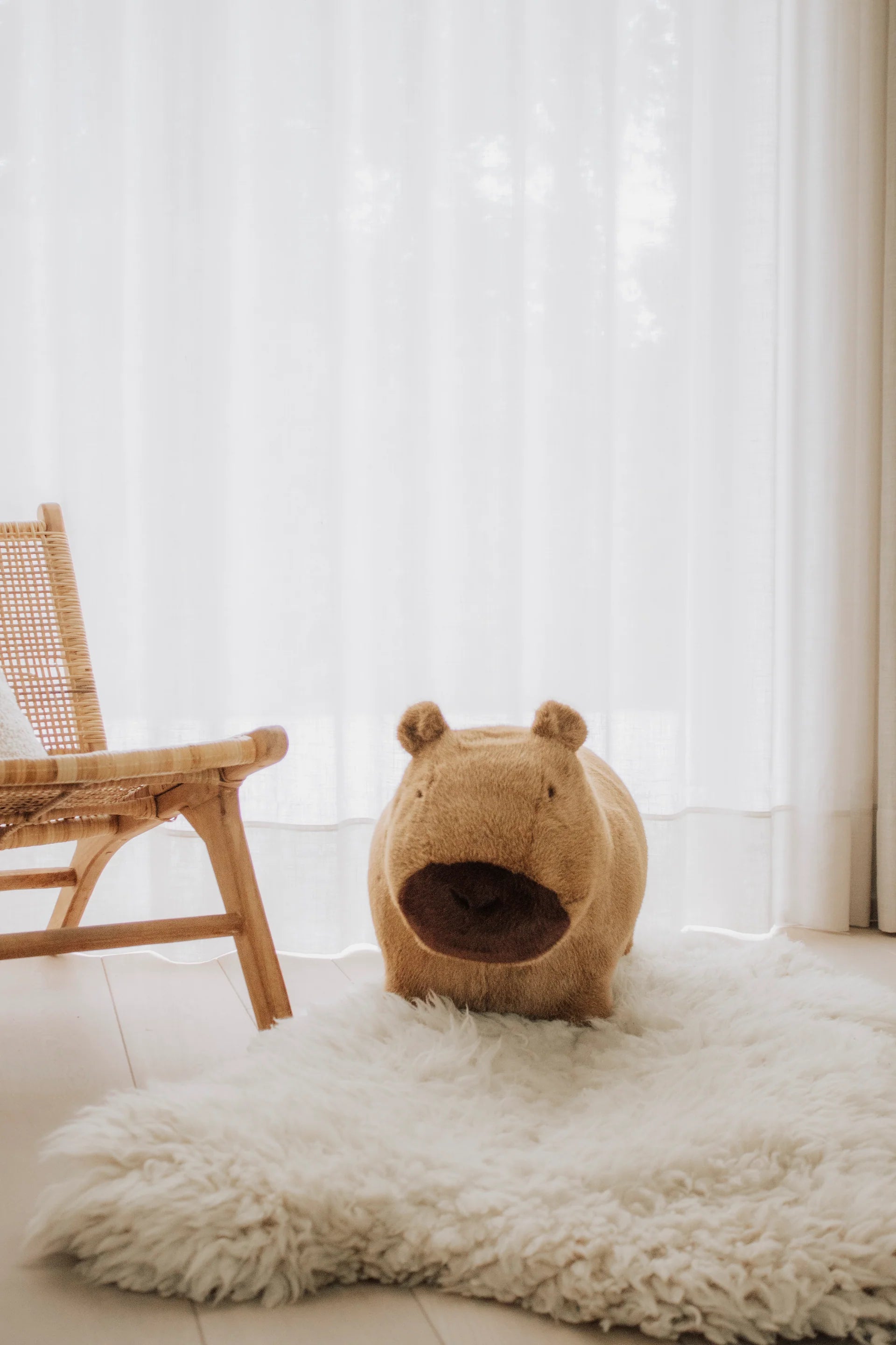 Wild & Soft Soft Bouncy Capabara