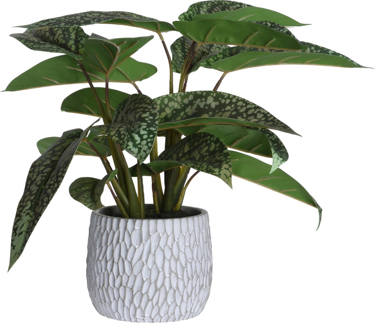 Plante artificielle - Artificielle - Syngonium - Hauteur 39cm