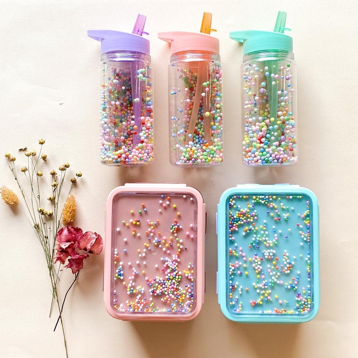 Petit Monkey Bentobox Popsicles Back to School - Desert Rose