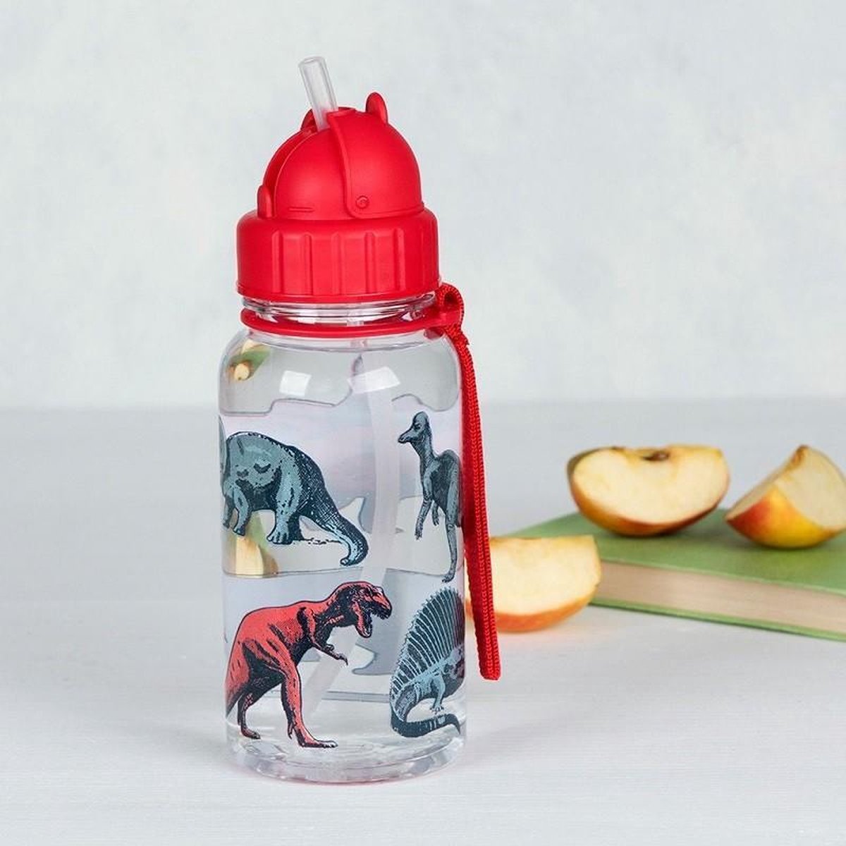 Rex London Lunchbox Set mit Brotbehälter / Trinkflasche - Dinosaurus