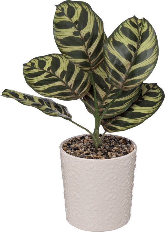 Plante Artificielle Atmosphera - Plante - H35cm - 2 Variantes - Nuit